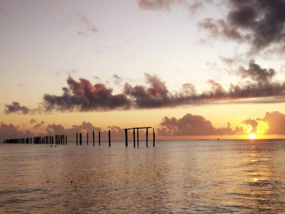 Canto Do Mar - Chales Com Vista Pro Mar - Cumuruxatiba Eksteriør billede